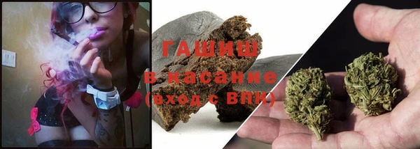 индика Заволжск