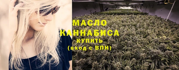 индика Заволжск
