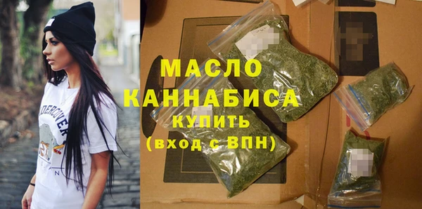 индика Заволжск