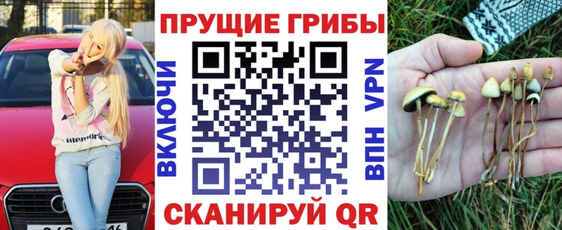 Псилоцибиновые грибы прущие грибы  купить наркотики сайты  Елизаветинская 