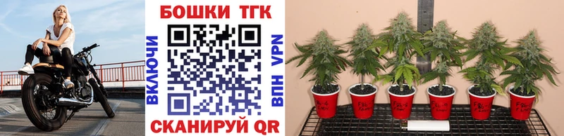Марихуана Bruce Banner  закладки  Елизаветинская 